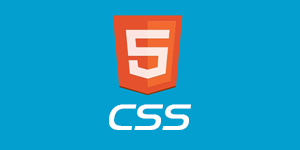 格式化CSS